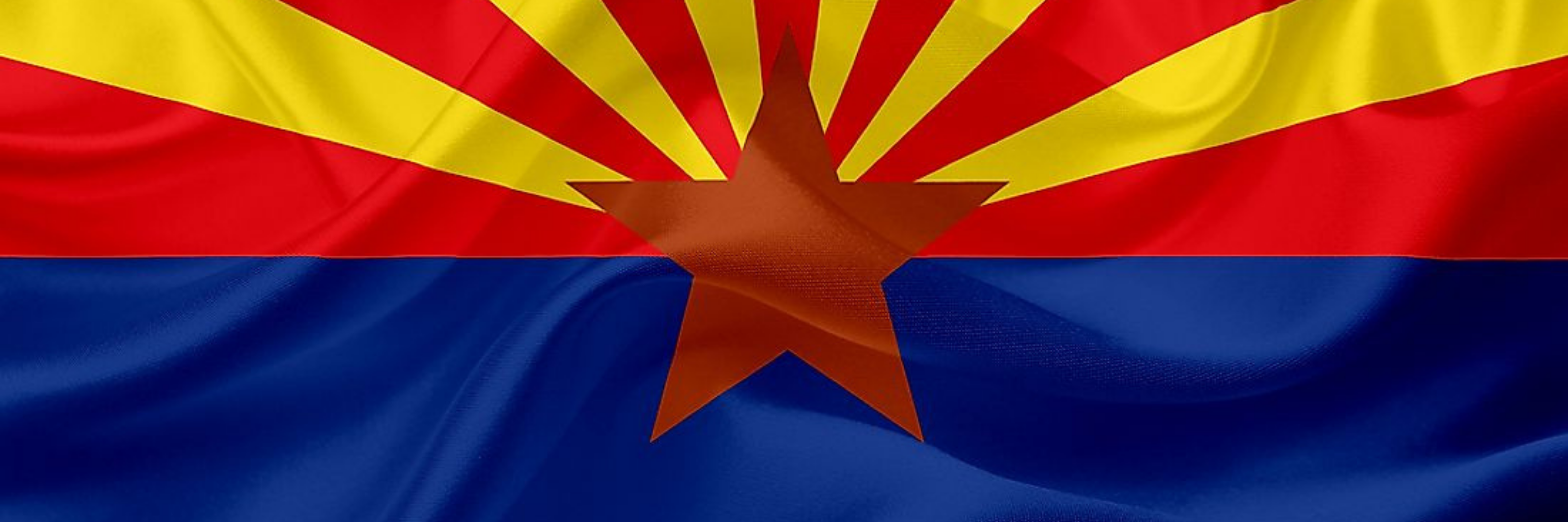 Arizona Brady List