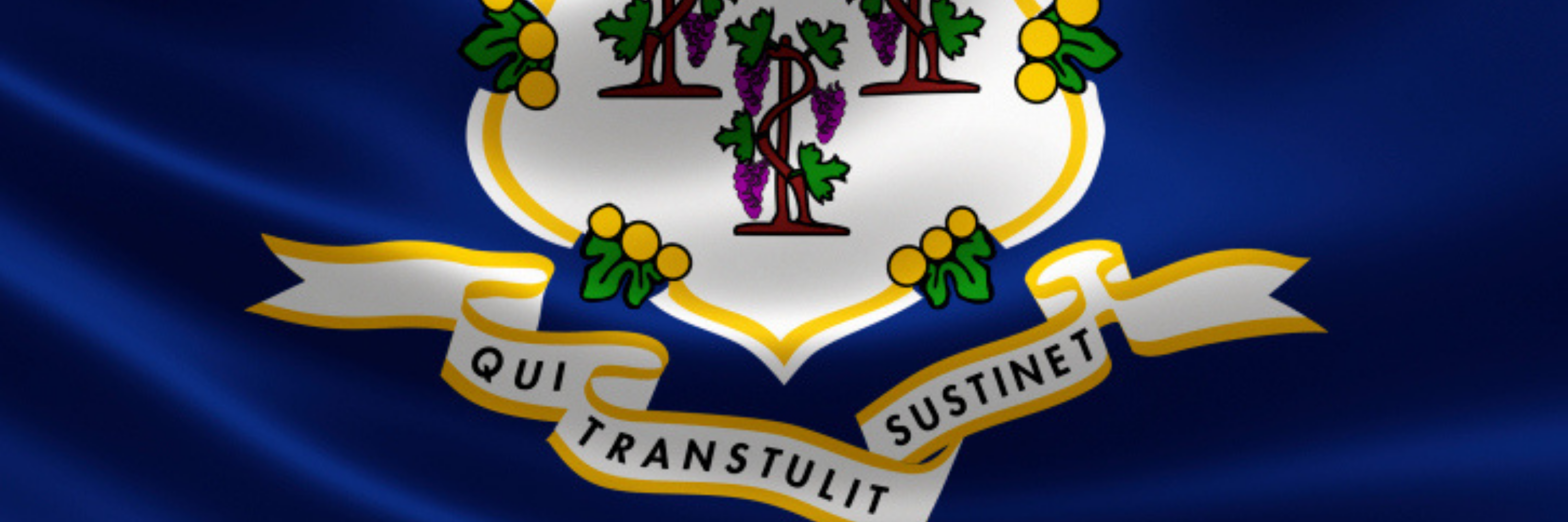 Connecticut Brady List