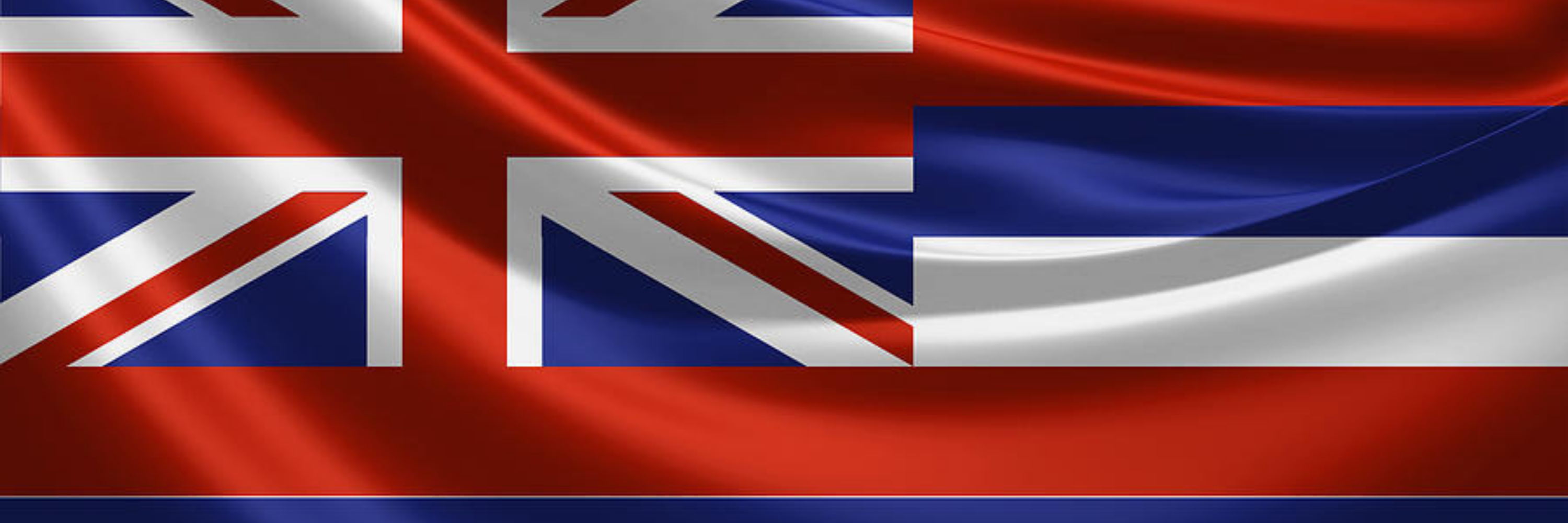 Hawai'i Brady List