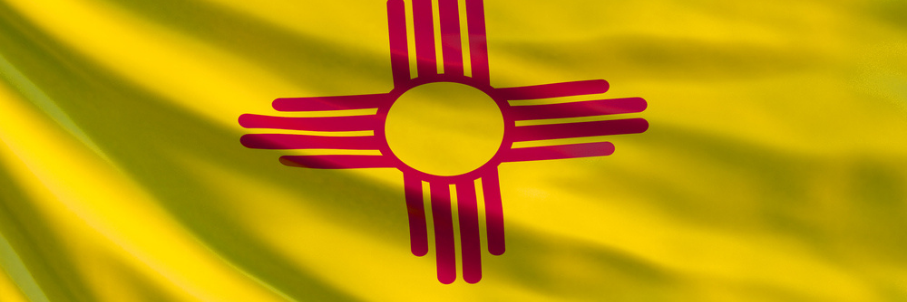 New Mexico Brady List