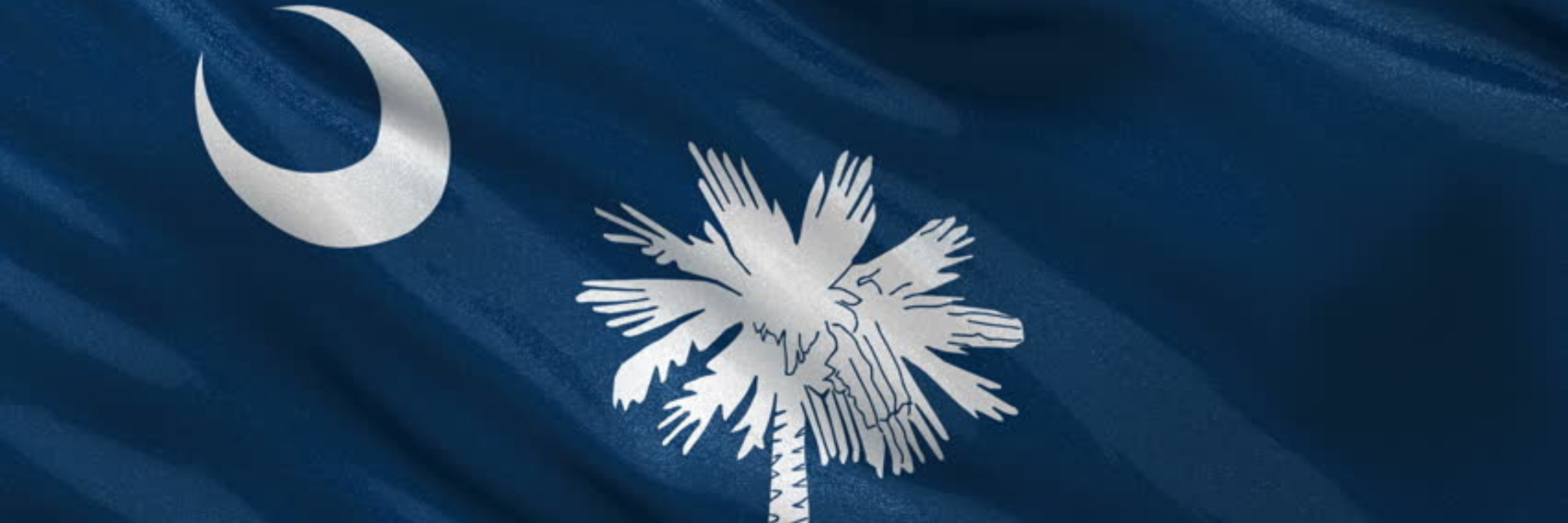 South Carolina Brady List