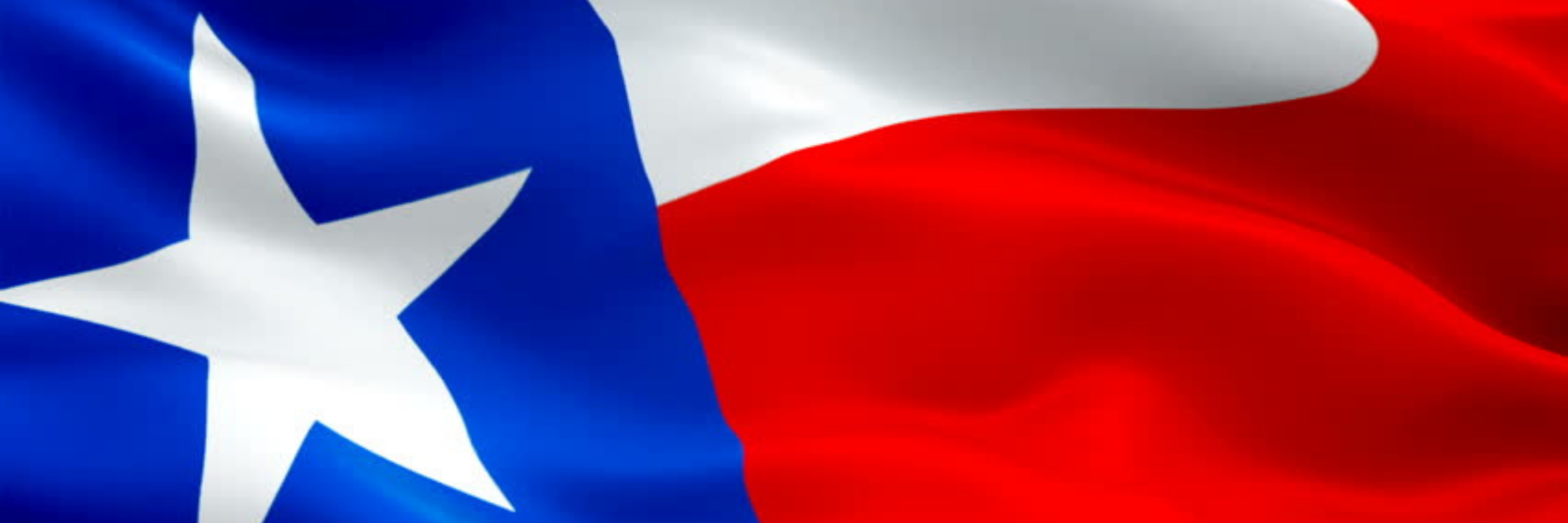 Texas Brady List
