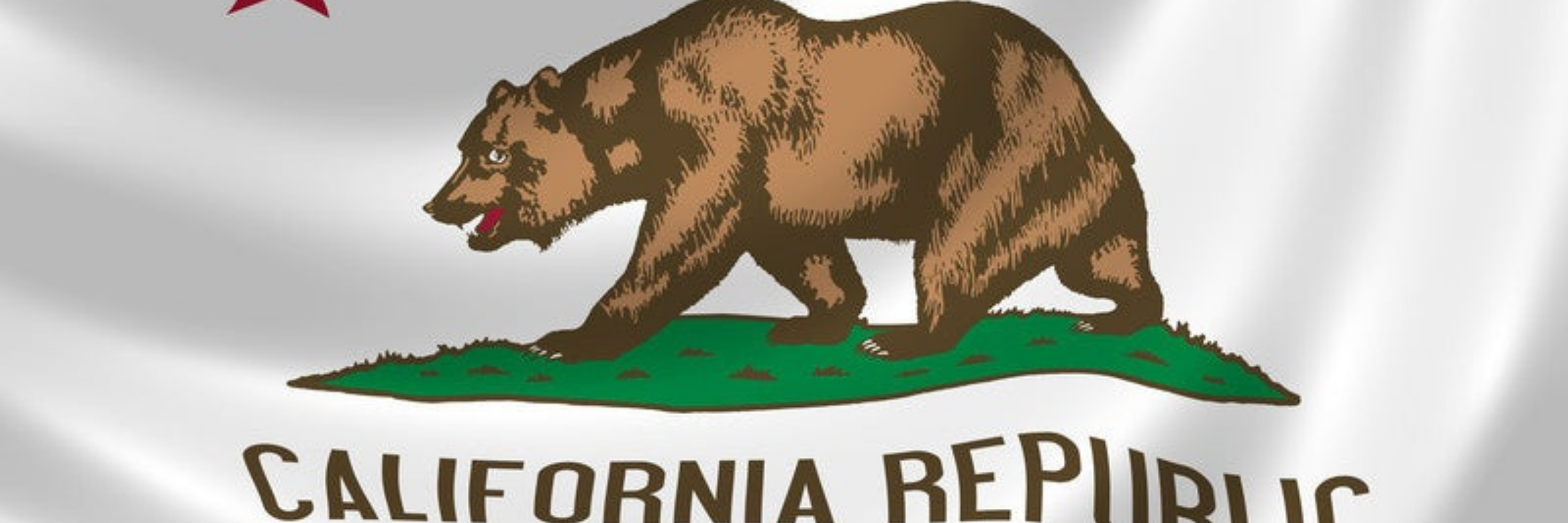 California Brady List
